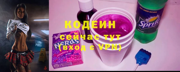 гашик Балахна