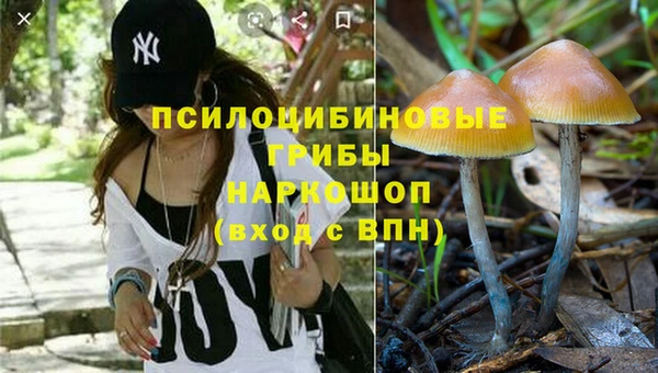 гашик Балахна