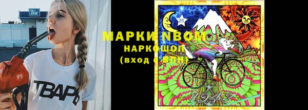 гашик Балахна
