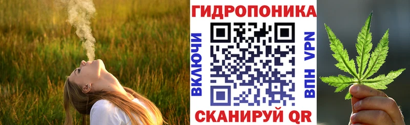 Конопля Bruce Banner  Никольское 